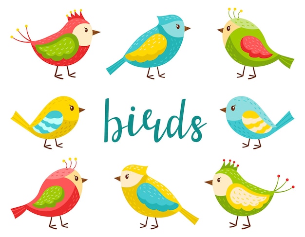 Vector un conjunto de pájaros lindos brillantes. una colección de pájaros de primavera de dibujos animados en un estilo plano. elementos de diseño para temas de primavera, verano y niños. ilustración de vector de olor aislado en un fondo blanco