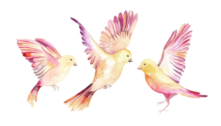 Vector conjunto de pájaros de llama de primavera boho vintage acuarela en colores rosa y amarillo