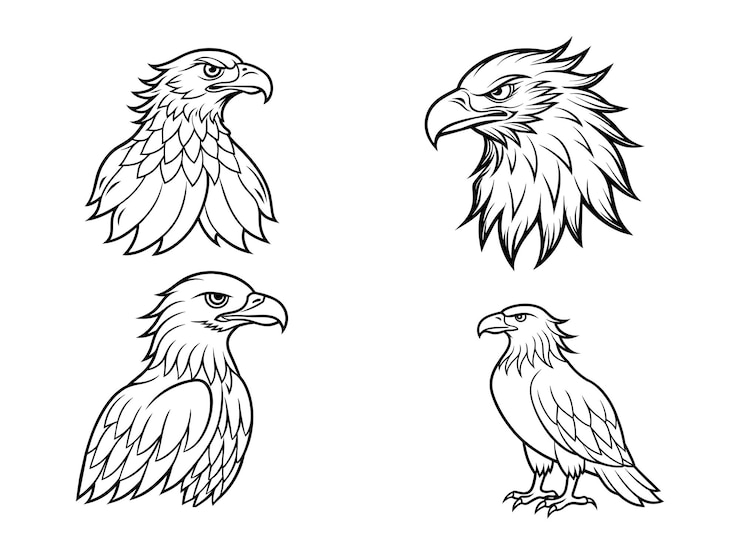Vector conjunto de pájaros loro un dibujo de línea continua decoración linda elementos dibujados a mano archivo vectorial