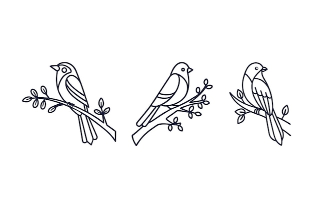 conjunto de pájaros posados en una rama ilustración artística de línea vectorial de fondo blanco transparente
