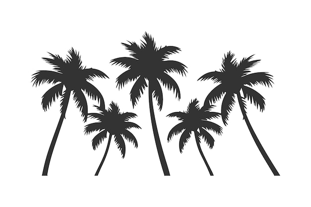 Conjunto de palmeras negras aisladas sobre fondo blanco Siluetas de palmeras