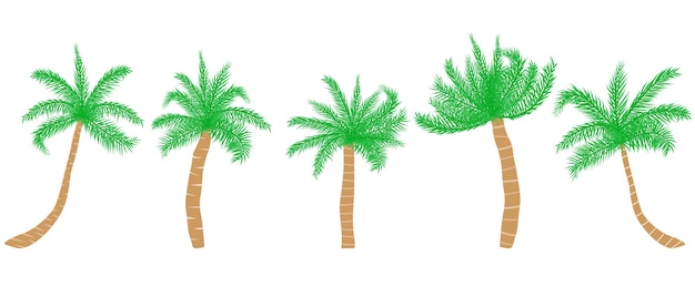 Conjunto de palmeras tropicales Ilustración vectorial