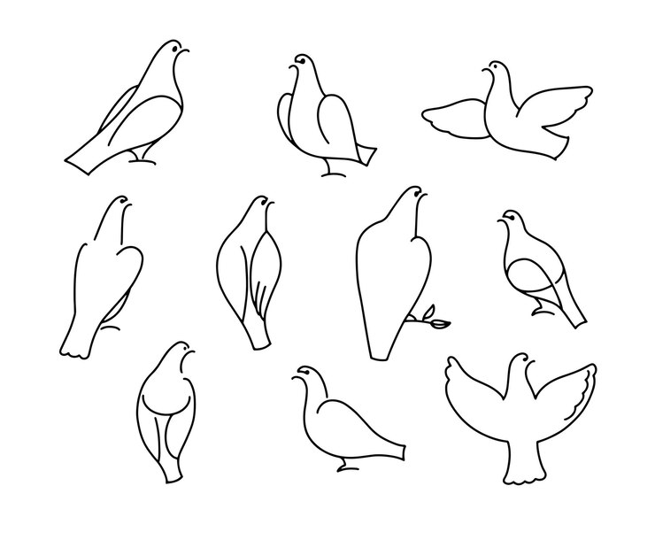 Vector conjunto de palomas lineales paloma decorativa pájaros minimalistas