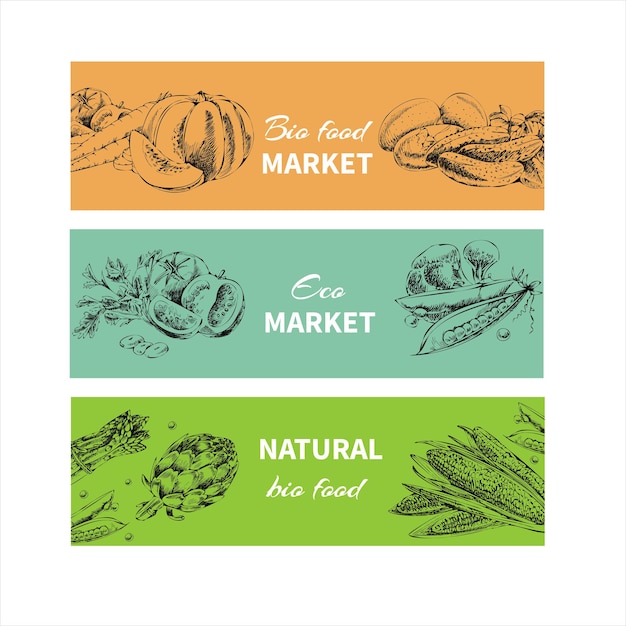 Un conjunto de pancartas de alimentos saludables dibujadas a mano vectoriales Estilo vintage Bosquejo retro