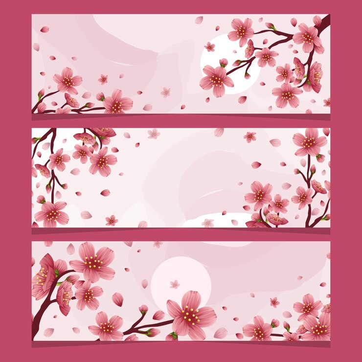 Conjunto de pancartas de flor de cerezo
