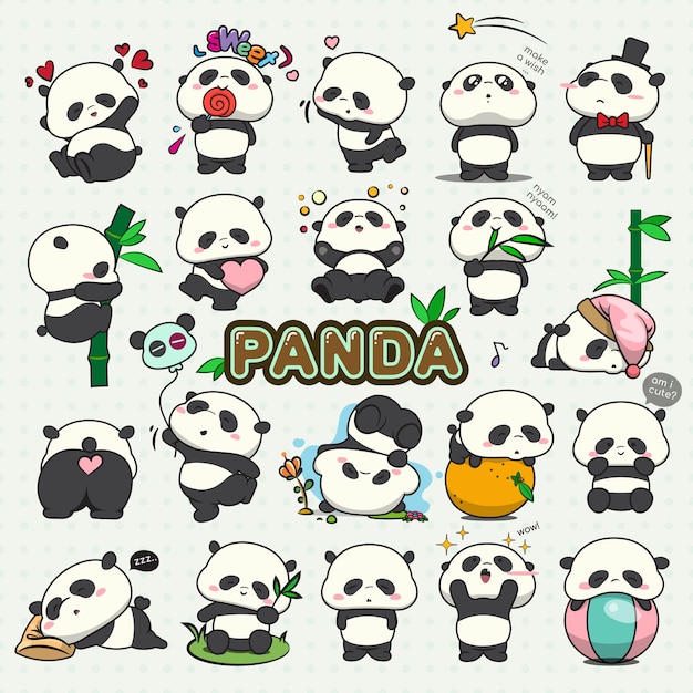 Conjunto de panda bebé