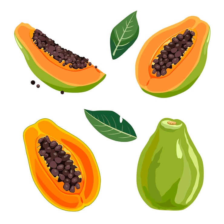 Vector conjunto de papaya verde amarilla y rebanadas frutas de verano vectoriales aisladas para diseño plano