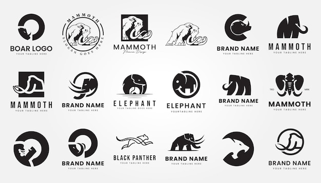 conjunto paquete oso depredador insignia logotipo diseño de ilustración vectorial