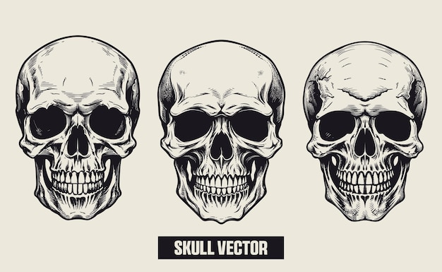 Conjunto de paquetes y vector de cráneo humano en fondo blanco con silueta de cráneo dibujada