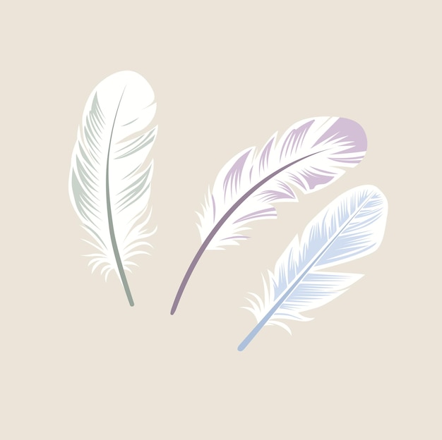 conjunto de un pastel pájaros vectoriales de plumas o ideas de logotipo de plumas