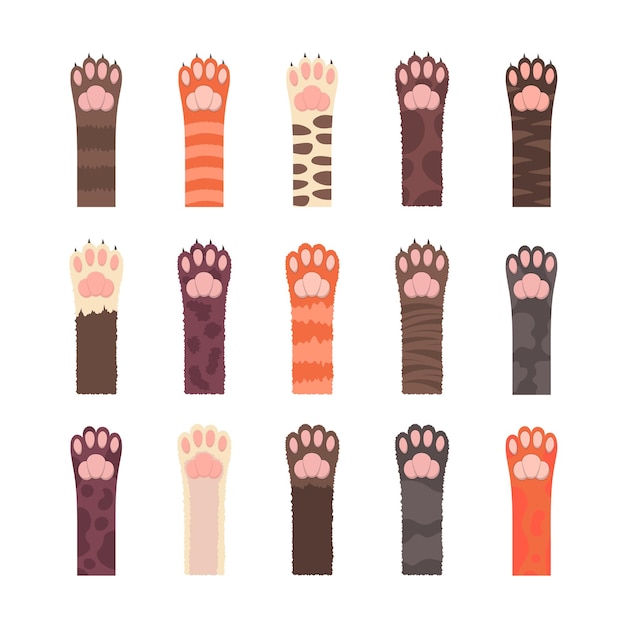 Vector conjunto de patas de gatos multicolores esponjosos aislado en blanco