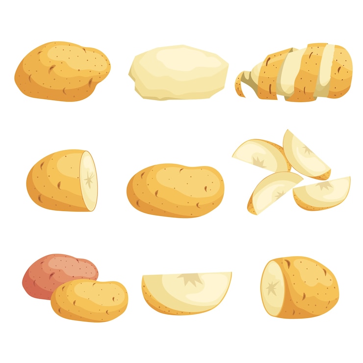 Vector conjunto de patatas de dibujos animados. entero, cortado en rodajas, pelado. rebanadas voladoras. cultivo de verduras frescas. lo mejor para el mercado, paquetes. colección de ilustraciones. sobre fondo blanco.