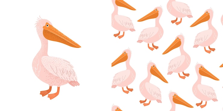 Vector conjunto de patrón sin costuras y estampado con pájaro pelícano estampado infantil para ropa de estampado infantil