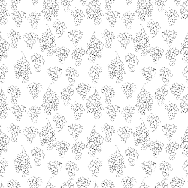 Un conjunto de patrones sin costuras de hojas y frutos de uvas 1000x1000 píxeles gráfico vectorial
