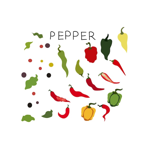 Conjunto de patrones de especias de pimienta Ilustración de diseño vectorial