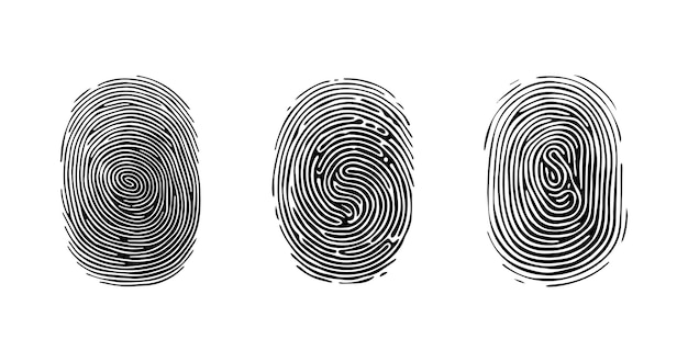Conjunto de patrones de huellas dactilares líneas claras y remolinos huella dactilar humana icono pictograma logotipo negro y blanco vector aislado en un fondo blanco concepto de seguridad