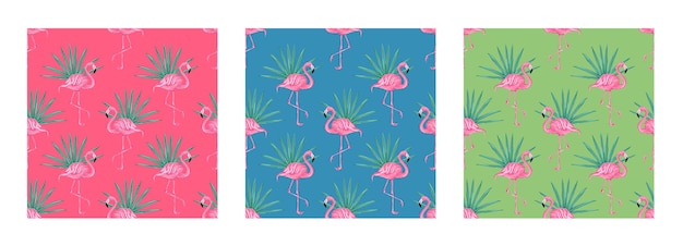 Conjunto de patrones tropicales de vector transparente con flamencos rosados