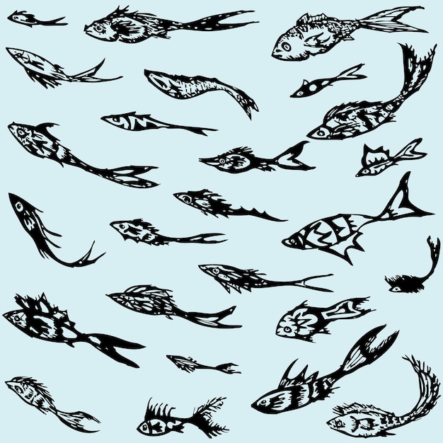 Conjunto de los peces decorativos dibujados
