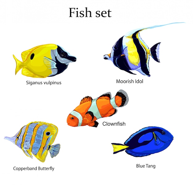 Conjunto de peces ilustración vectorial