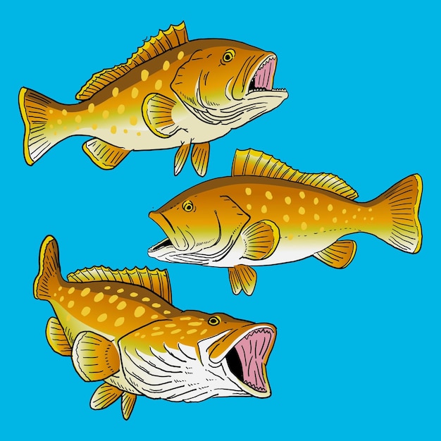 Vector conjunto de peces de mero de borde amarillo para la colección de paquetes de peces de caza