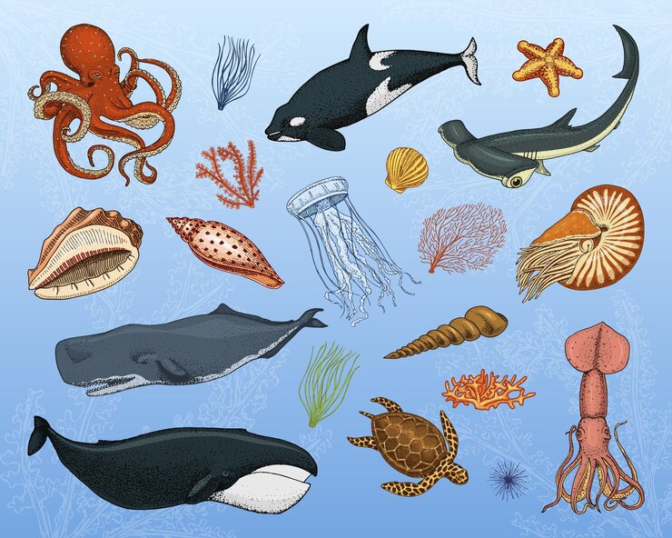 Vector conjunto de peces o criaturas marinas ballenas azules medusas y estrellas de mar pulpo y calamar calamares tiburón martillo tortuga verde y caballitos de mar grabados a mano dibujados en un viejo boceto vintage