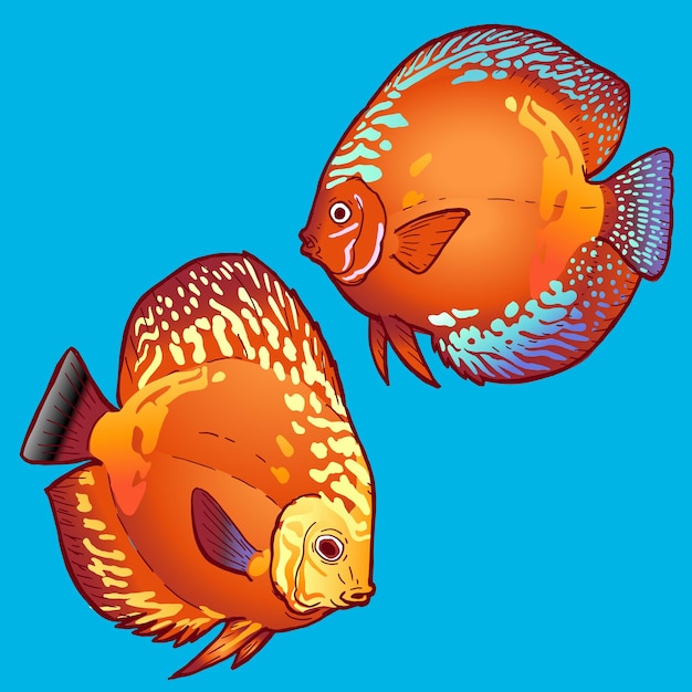 Vector conjunto de peces pompadour para diseño comercial