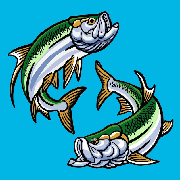 Conjunto de peces Tarpon para la colección de peces de caza.