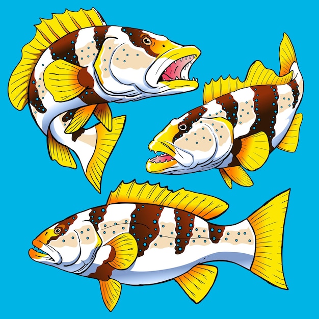 conjunto de peces de trucha futbolista para la colección de paquetes de peces de caza