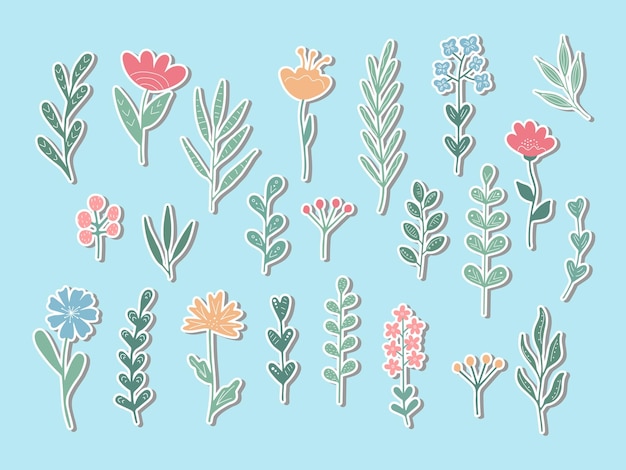 Conjunto de pegatinas botánicas abstractas dibujadas a mano elementos de diseño floral iconos lindos primavera de verano natural