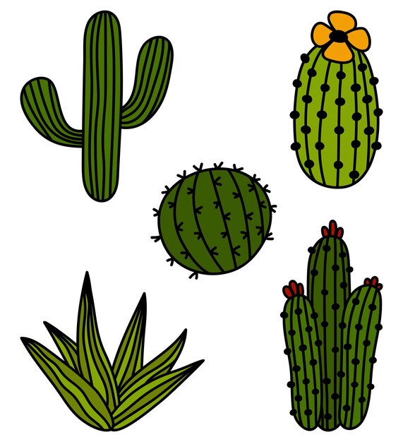 Conjunto de pegatinas de cactus aisladas dibujadas a mano vector doodle cactus iconos esquema ilustración clipart