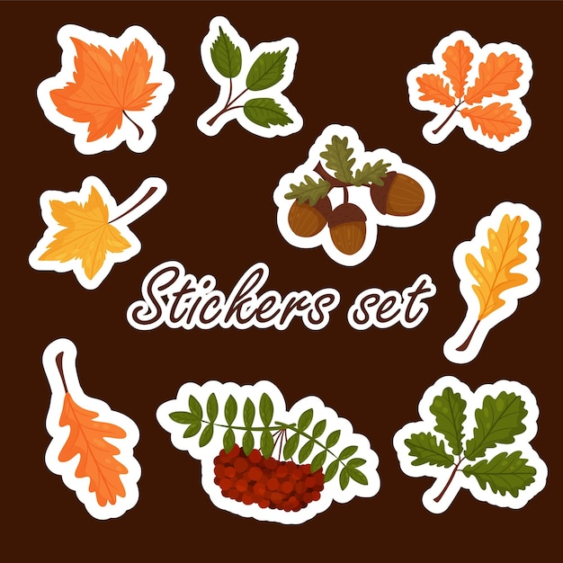 Conjunto de pegatinas de elementos otoñales, hojas de otoño de colores brillantes. Estilo de dibujos animados de vector. Aislado en un fondo blanco