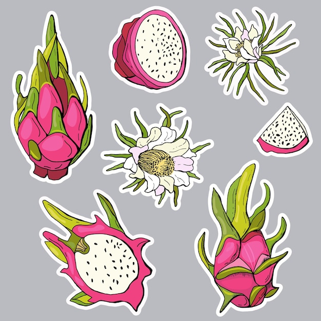 Conjunto de pegatinas de fruta del dragón Pitahaya fruit