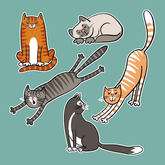 Conjunto de pegatinas de gatos dibujados a mano