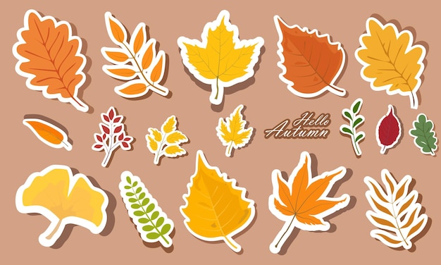 Conjunto de pegatinas de hojas de otoño Conjun to de pegatines de coloridas hojas de Otoño de diferentes árboles