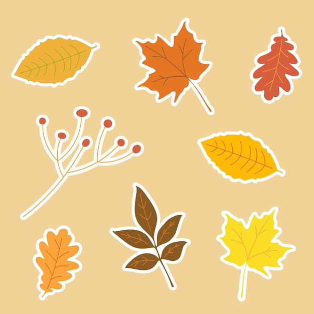 conjunto de pegatinas de hojas de otoño