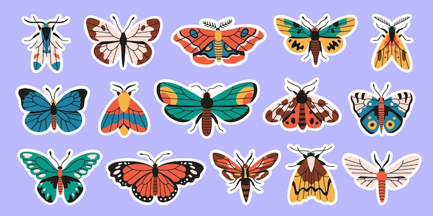 Vector conjunto de pegatinas de mariposas y polillas colección de insectos ilustración vectorial