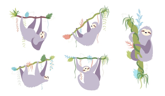 Conjunto de perezoso lindo personaje. Bebé de dibujos animados aislado escalada perezosos ilustración vectorial plana.