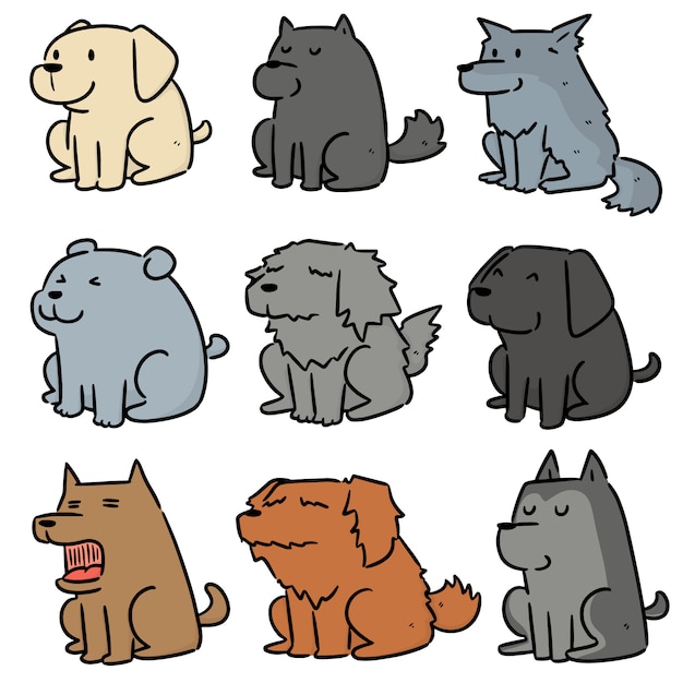 conjunto de perro