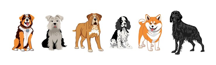 Vector un conjunto de perros de diferentes razas ilustración vectorial setter spaniel terrier mastiff shiba inu akita