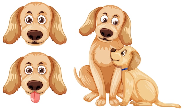 Conjunto de perros golden retriever aislado