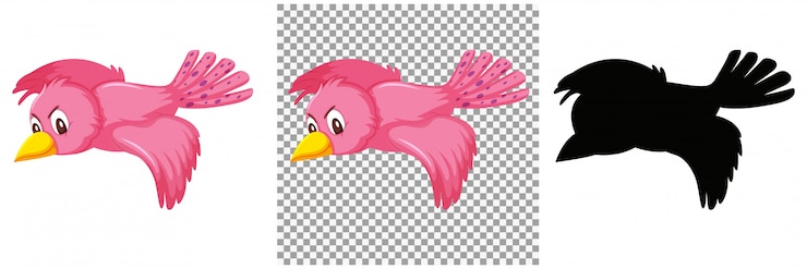 Vector conjunto de personaje de ave