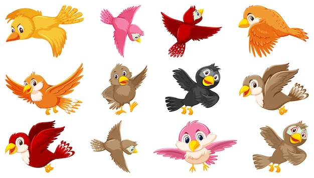 Vector conjunto de personaje de dibujos animados de aves