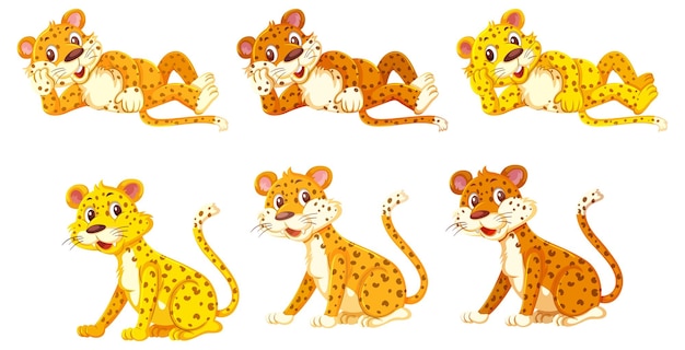 Conjunto de personaje de dibujos animados de leopardo en diferentes poses