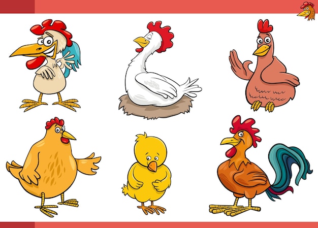 Conjunto de personajes cómicos de animales de granja de aves de pollos de dibujos animados