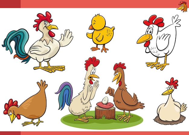 Conjunto de personajes cómicos de aves de granja de pollos de dibujos animados