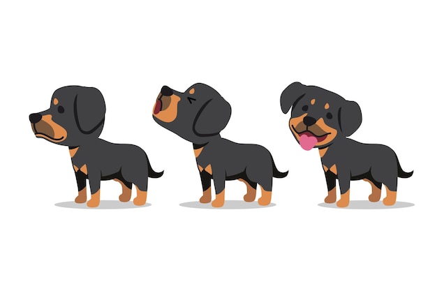 Conjunto de personajes de dibujos animados vectoriales perro rottweiler