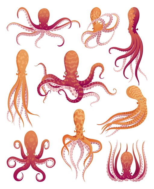 Vector conjunto de personajes planos de dibujos animados de pulpo iconos de fauna acuática ilustración de animales para el concepto de zoológico y naturaleza pulpos de colores lindos animales marinos con tentáculos