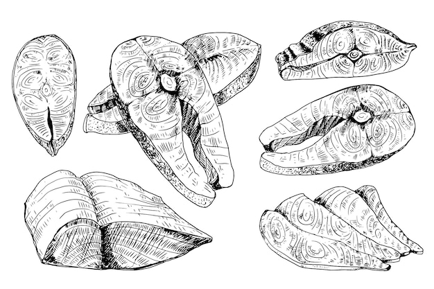 Conjunto de piezas de carne de salmón aislado sobre fondo blanco. Elemento de diseño para menú, etiqueta, emblema, letrero, póster. ilustración.