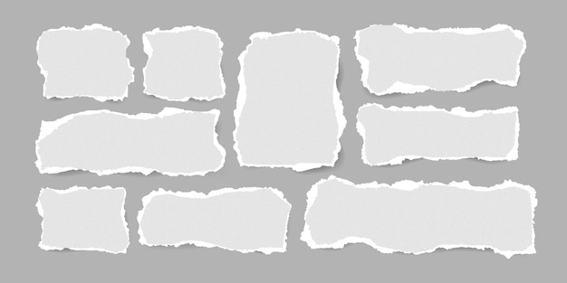 Conjunto de piezas de papel con textura rasgada Hoja de papel con bordes rasgados Marco en blanco Abstracto Forma de restos