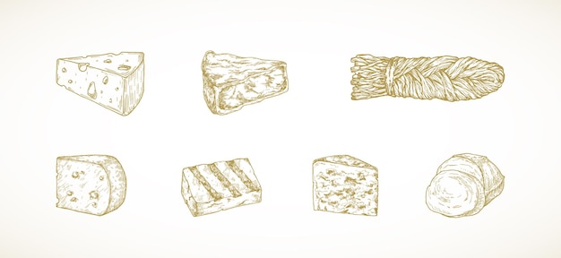 Conjunto de piezas de queso de croquis dibujado a mano Estilo de grabado Roquefort Gouda Haloumi Camembert Mozzarella y Pigtail Suluguni Queso Ilustraciones Colección aislada
